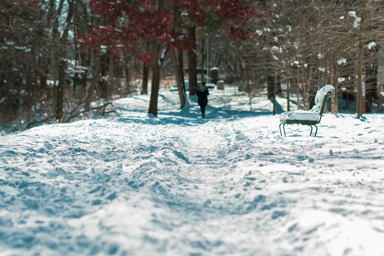 A park covered in snow